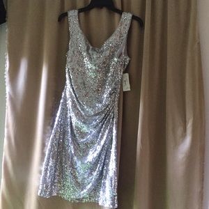 NWT Silver Dress